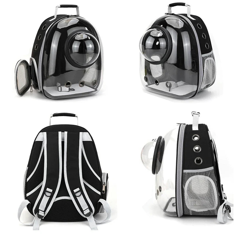 Transparent pet backpack