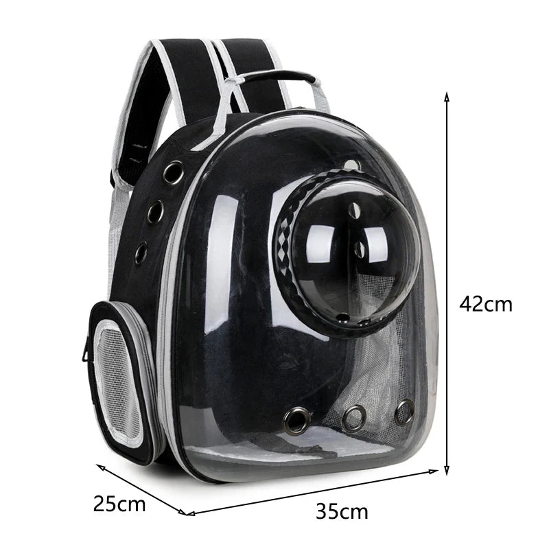 Transparent pet backpack