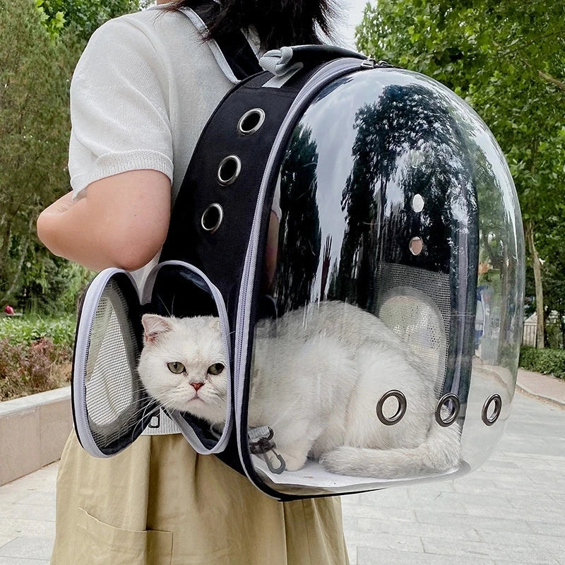 Transparent pet backpack